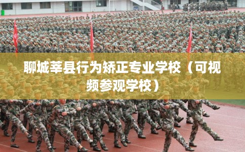 聊城莘县行为矫正专业学校（可视频参观学校）