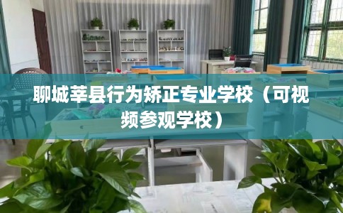 聊城莘县行为矫正专业学校（可视频参观学校）