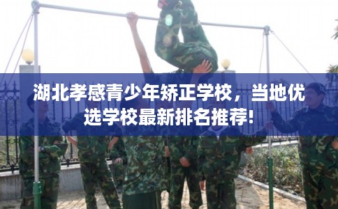湖北孝感青少年矫正学校，当地优选学校最新排名推荐!