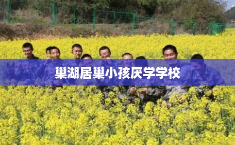 巢湖居巢小孩厌学学校 巢湖居巢小孩厌学学校