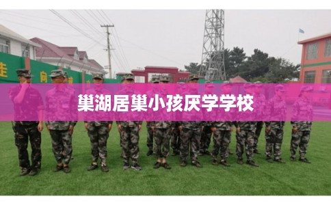 巢湖居巢小孩厌学学校