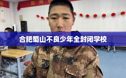 合肥蜀山不良少年全封闭学校 合肥蜀山不良少年全封闭学校