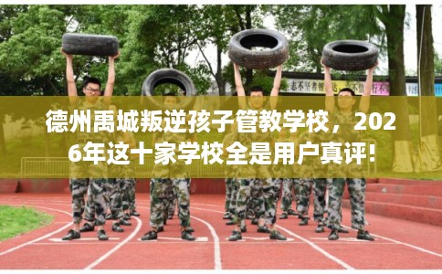 德州禹城叛逆孩子管教学校，2026年这十家学校全是用户真评!