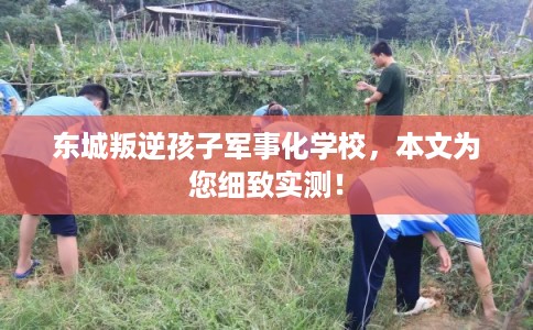 东城叛逆孩子军事化学校,本文为您细致实测! 东城叛逆孩子军事化学校,本文为您细致实测!
