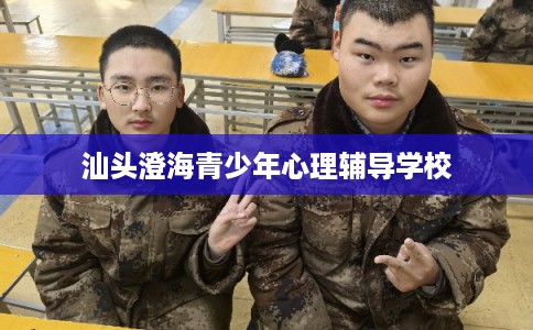 汕头澄海青少年心理辅导学校 汕头澄海青少年心理辅导学校