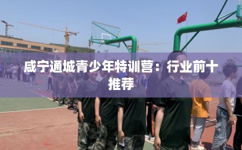 咸宁通城青少年特训营：行业前十推荐