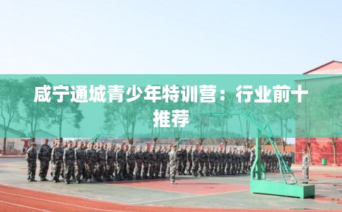 咸宁通城青少年特训营：行业前十推荐