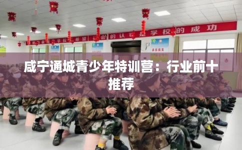 咸宁通城青少年特训营：行业前十推荐