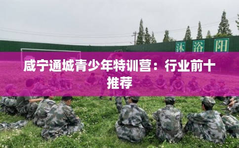 咸宁通城青少年特训营：行业前十推荐
