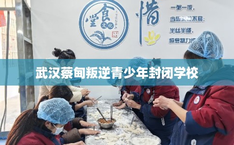 武汉蔡甸叛逆青少年封闭学校