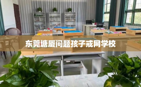 东莞塘厦问题孩子戒网学校