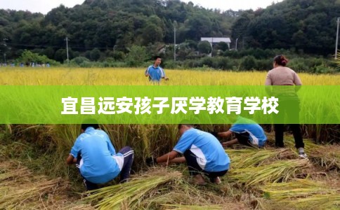 宜昌远安孩子厌学教育学校 宜昌远安孩子厌学教育学校