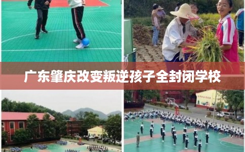 广东肇庆改变叛逆孩子全封闭学校
