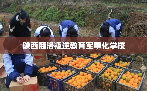 陕西商洛叛逆教育军事化学校