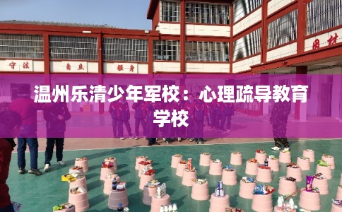 温州乐清少年军校：心理疏导教育学校