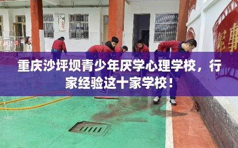 重庆沙坪坝青少年厌学心理学校，行家经验这十家学校！