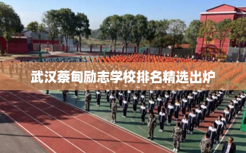 武汉蔡甸励志学校排名精选出炉