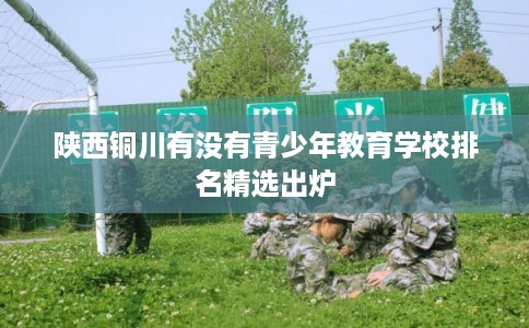 陕西铜川有没有青少年教育学校排名精选出炉 陕西铜川有没有青少年教育学校排名精选出炉