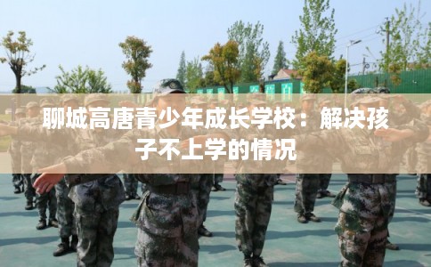 聊城高唐青少年成长学校:解决孩子不上学的情况 聊城高唐青少年成长学校:解决孩子不上学的情况