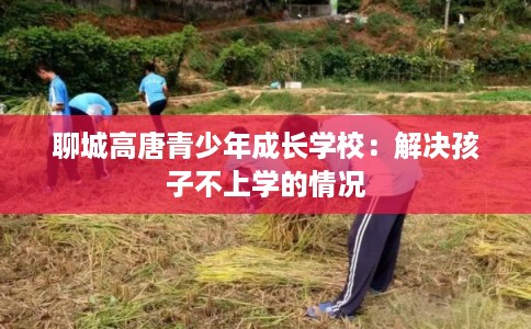 聊城高唐青少年成长学校：解决孩子不上学的情况