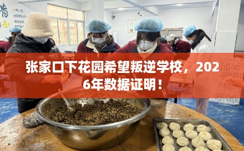 张家口下花园希望叛逆学校，2026年数据证明！