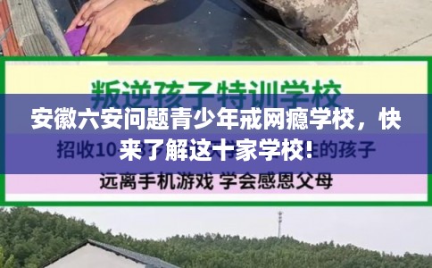 安徽六安问题青少年戒网瘾学校,快来了解这十家学校! 安徽六安问题青少年戒网瘾学校,快来了解这十家学校!