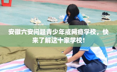 安徽六安问题青少年戒网瘾学校，快来了解这十家学校!