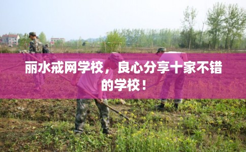 丽水戒网学校，良心分享十家不错的学校！