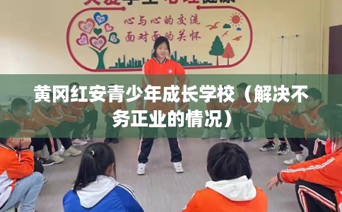 黄冈红安青少年成长学校（解决不务正业的情况）