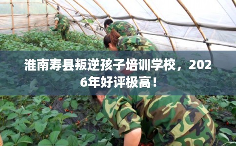 淮南寿县叛逆孩子培训学校，2026年好评极高！