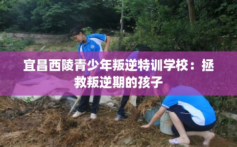 宜昌西陵青少年叛逆特训学校:拯救叛逆期的孩子 宜昌西陵青少年叛逆特训学校:拯救叛逆期的孩子
