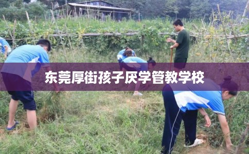 东莞厚街孩子厌学管教学校