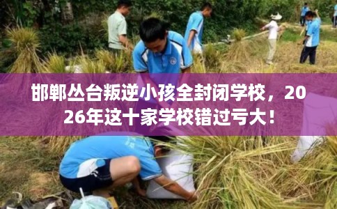 邯郸丛台叛逆小孩全封闭学校，2026年这十家学校错过亏大！