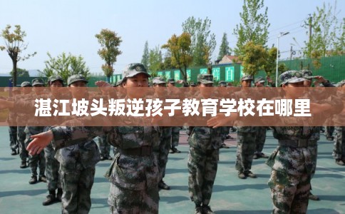 湛江坡头叛逆孩子教育学校在哪里