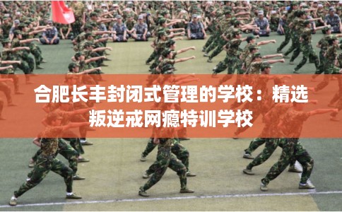 合肥长丰封闭式管理的学校:精选叛逆戒网瘾特训学校 合肥长丰封闭式管理的学校:精选叛逆戒网瘾特训学校