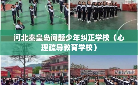 河北秦皇岛问题少年纠正学校(心理疏导教育学校) 河北秦皇岛问题少年纠正学校(心理疏导教育学校)