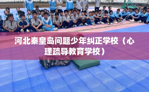 河北秦皇岛问题少年纠正学校(心理疏导教育学校) 河北秦皇岛问题少年纠正学校(心理疏导教育学校)