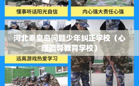 河北秦皇岛问题少年纠正学校(心理疏导教育学校) 河北秦皇岛问题少年纠正学校(心理疏导教育学校)