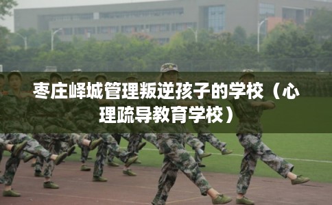 枣庄峄城管理叛逆孩子的学校（心理疏导教育学校）