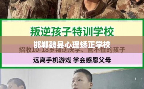 邯郸魏县心理矫正学校