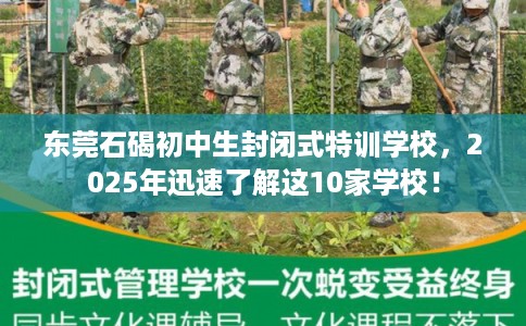 东莞石碣初中生封闭式特训学校，2025年迅速了解这10家学校！