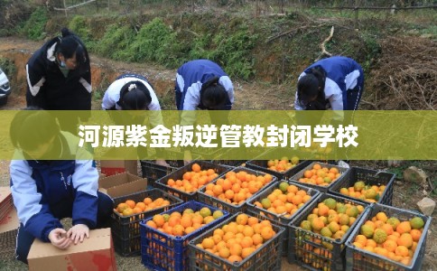 河源紫金叛逆管教封闭学校