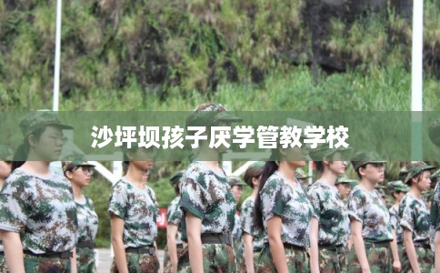 沙坪坝孩子厌学管教学校