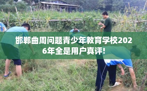 邯郸曲周问题青少年教育学校2026年全是用户真评!