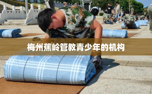 梅州蕉岭管教青少年的机构