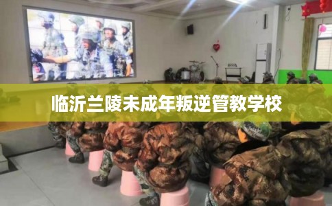 临沂兰陵未成年叛逆管教学校
