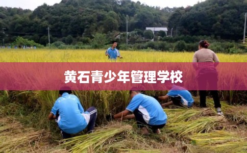 黄石青少年管理学校