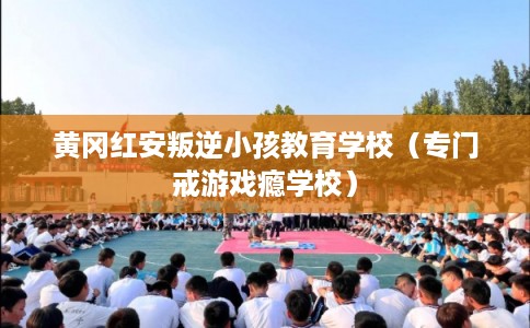 黄冈红安叛逆小孩教育学校（专门戒游戏瘾学校）