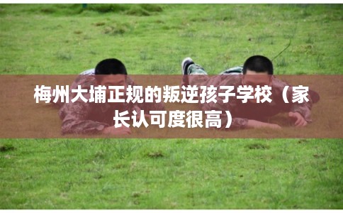梅州大埔正规的叛逆孩子学校(家长认可度很高) 梅州大埔正规的叛逆孩子学校(家长认可度很高)