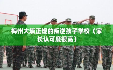 梅州大埔正规的叛逆孩子学校(家长认可度很高) 梅州大埔正规的叛逆孩子学校(家长认可度很高)